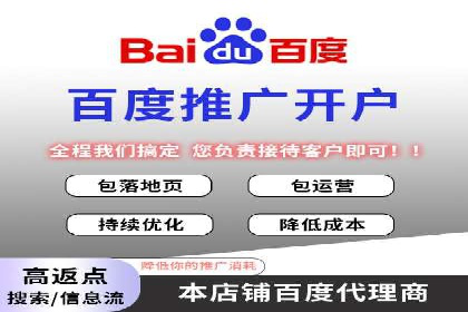 百度广告投放策略与效果评估案例
